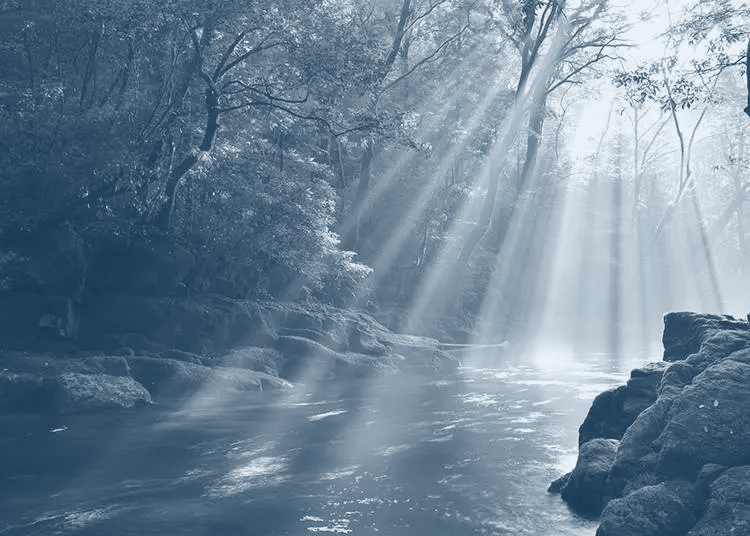 forest-light-blue.png
